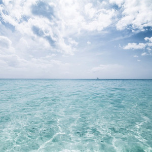 小天⋯受不了⋯快进来小天风
